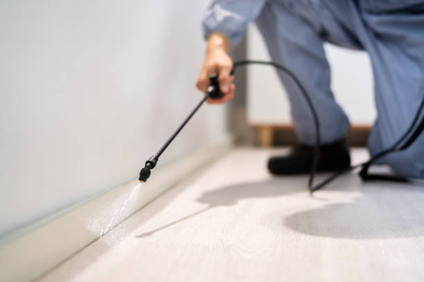 Rodent Entry Point Assessment in Manchester