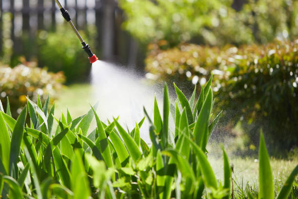 Tamper-Resistant Bait Stations for Rodents in Manchester