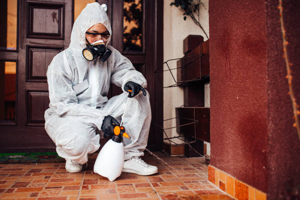 Attic and Crawl Space Rodent Treatment in Manchester